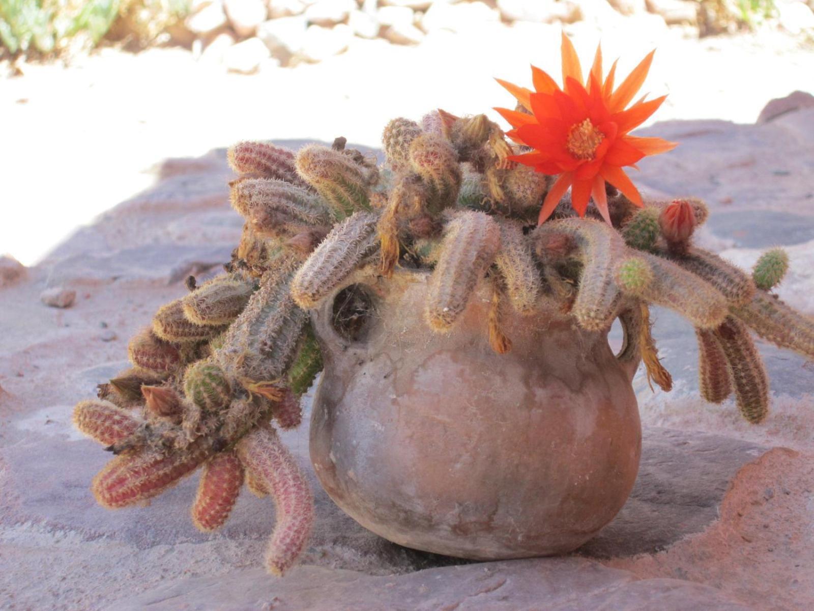 La Calabaza Cabana Tilcara Extérieur photo